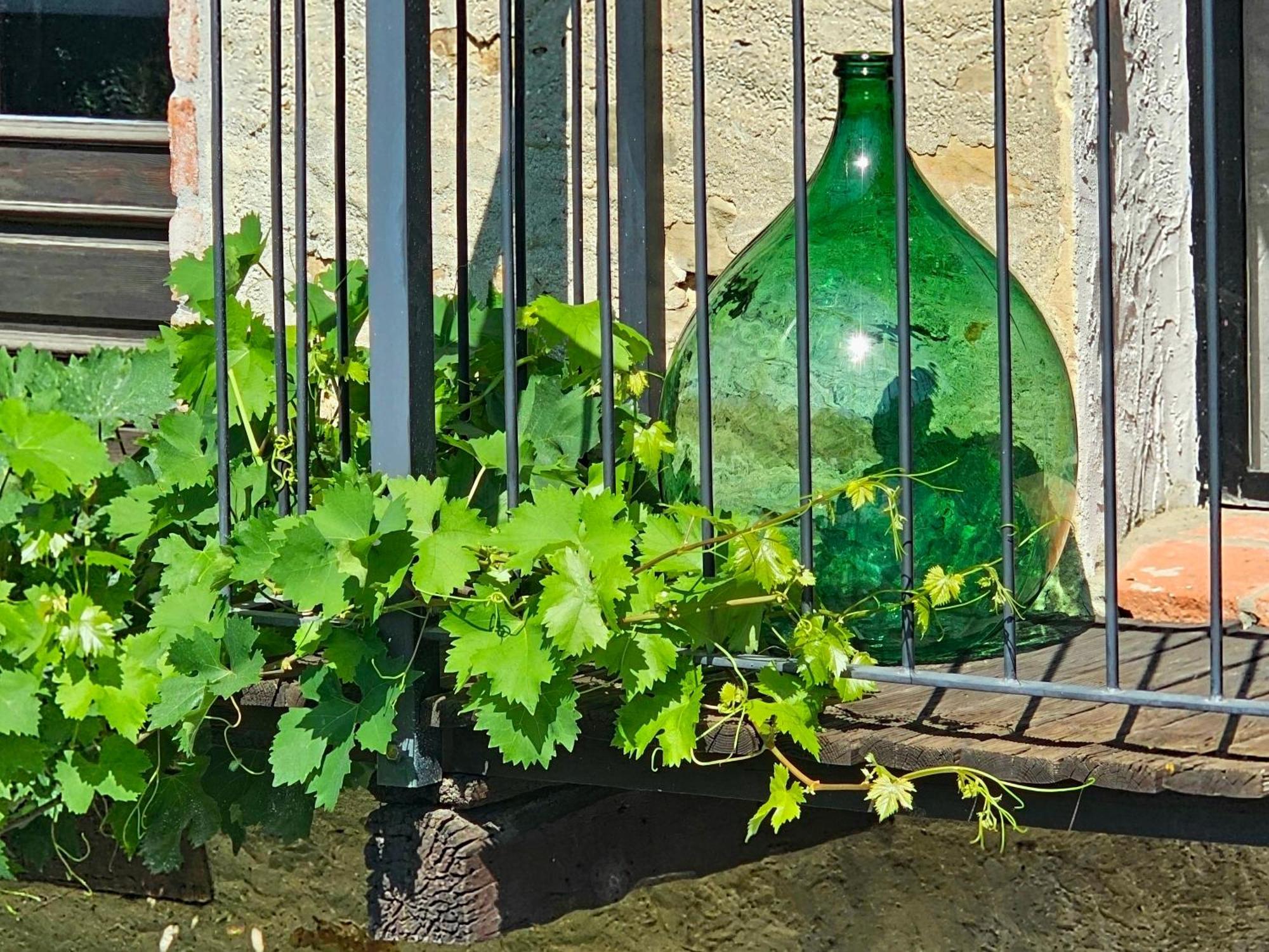 Cascina Il Sogno Bed & Breakfast Cossano Belbo Exterior photo